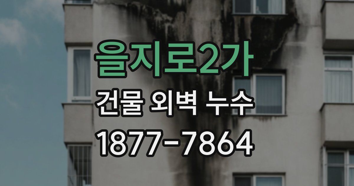 을지로2가 건물 외벽 누수