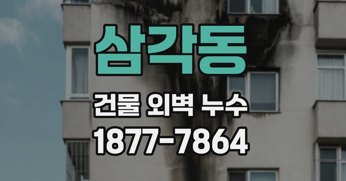 삼각동 건물 외벽 누수