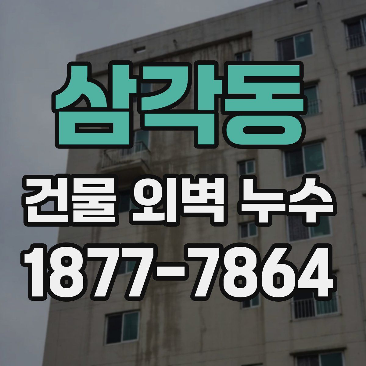 삼각동 건물 외벽 누수