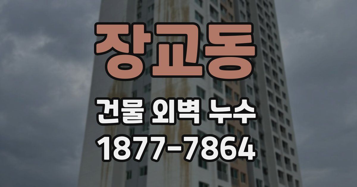 장교동 건물 외벽 누수