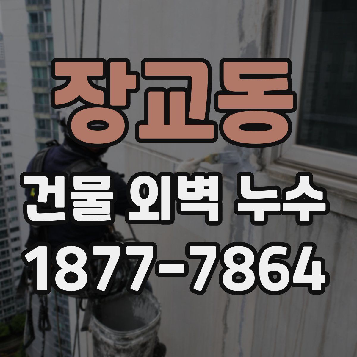 장교동 건물 외벽 누수