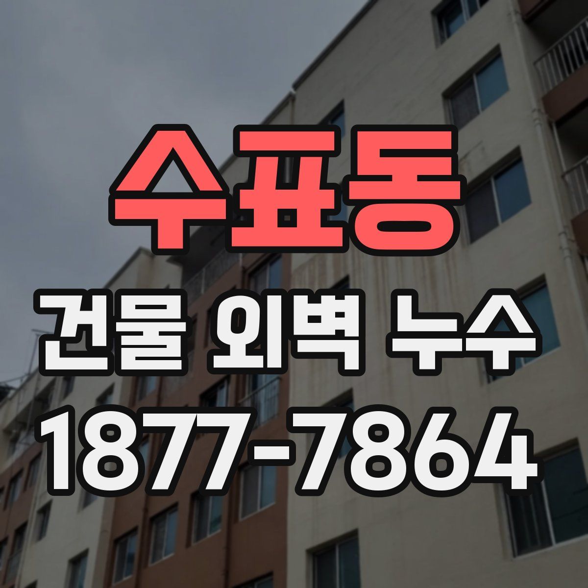 수표동 건물 외벽 누수
