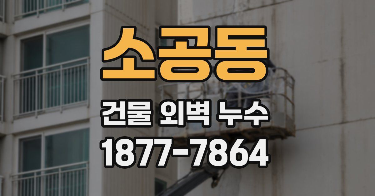소공동 건물 외벽 누수