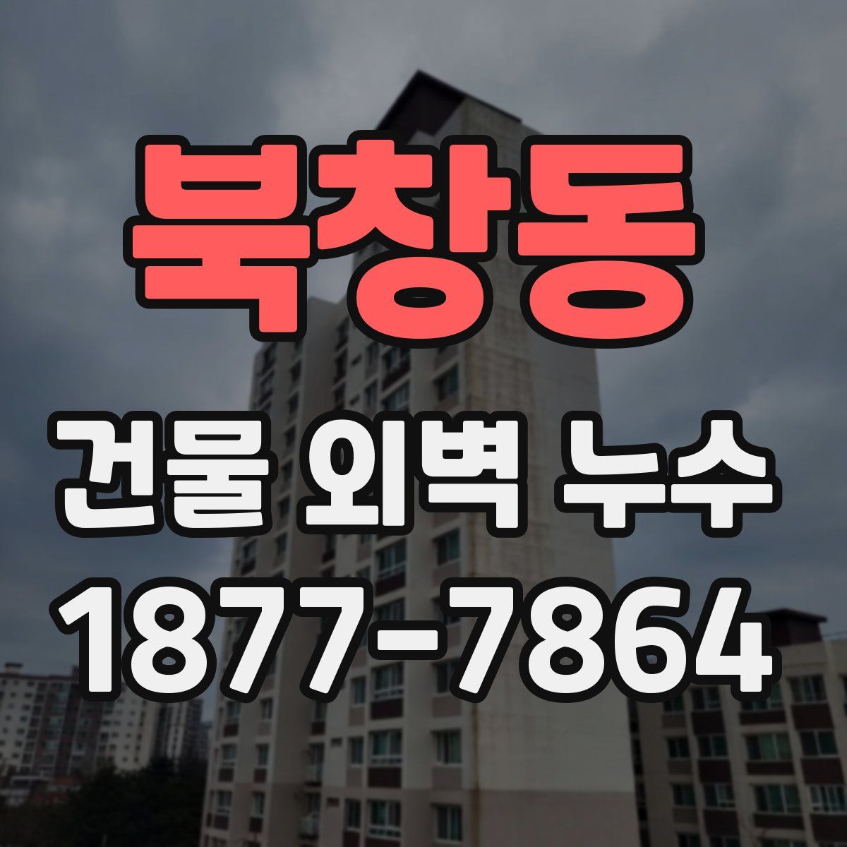 북창동 건물 외벽 누수