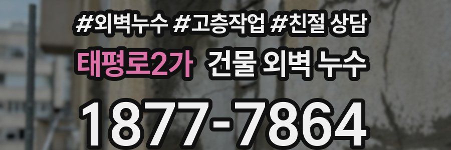 태평로2가 건물 외벽 누수