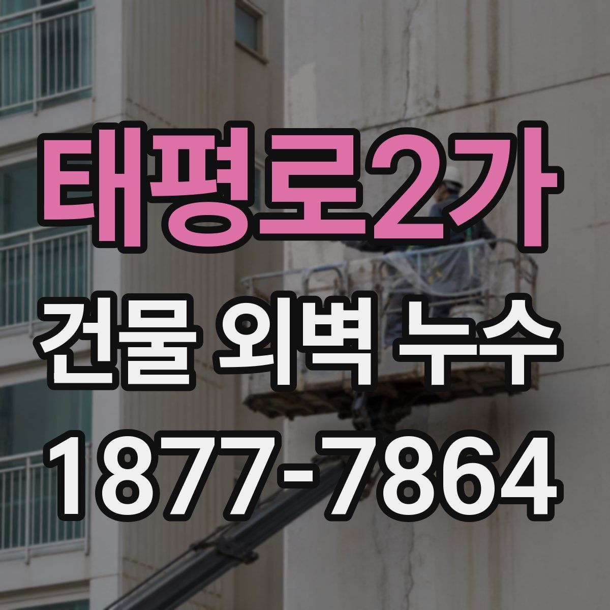 태평로2가 건물 외벽 누수