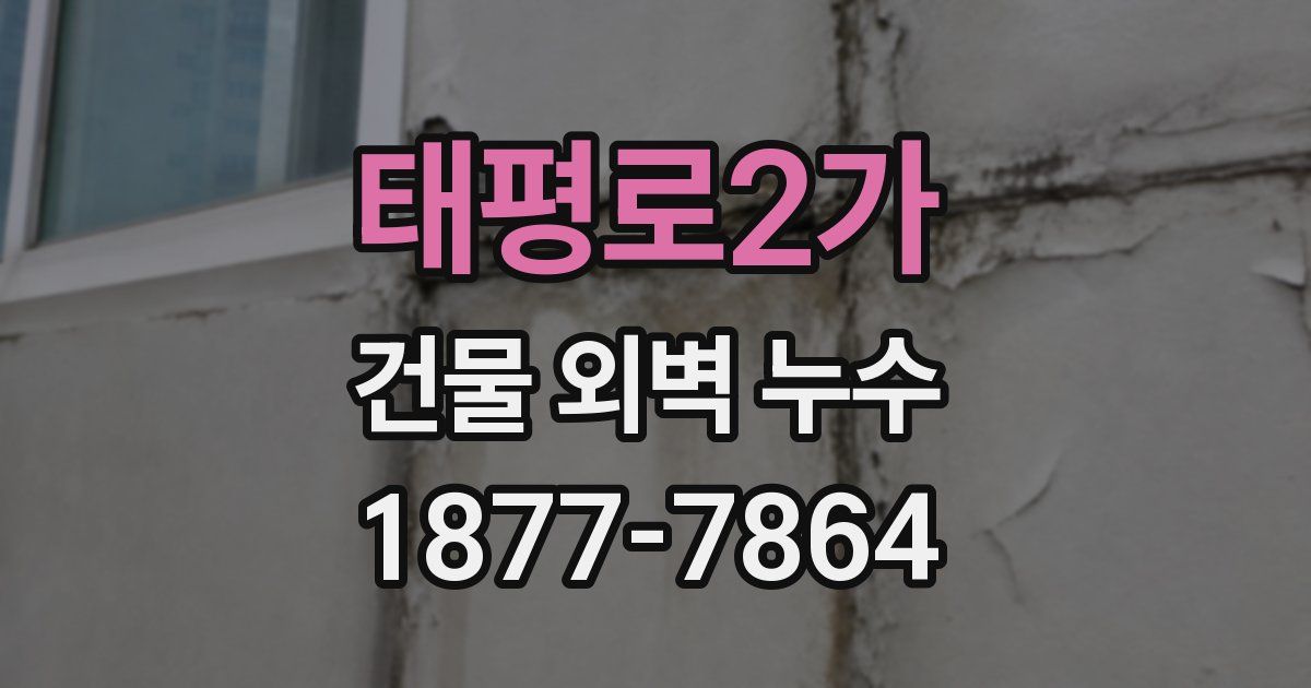 태평로2가 건물 외벽 누수