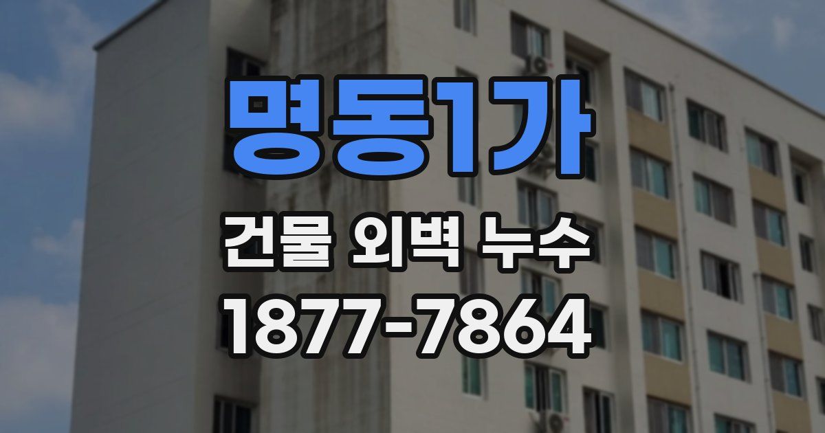명동1가 건물 외벽 누수