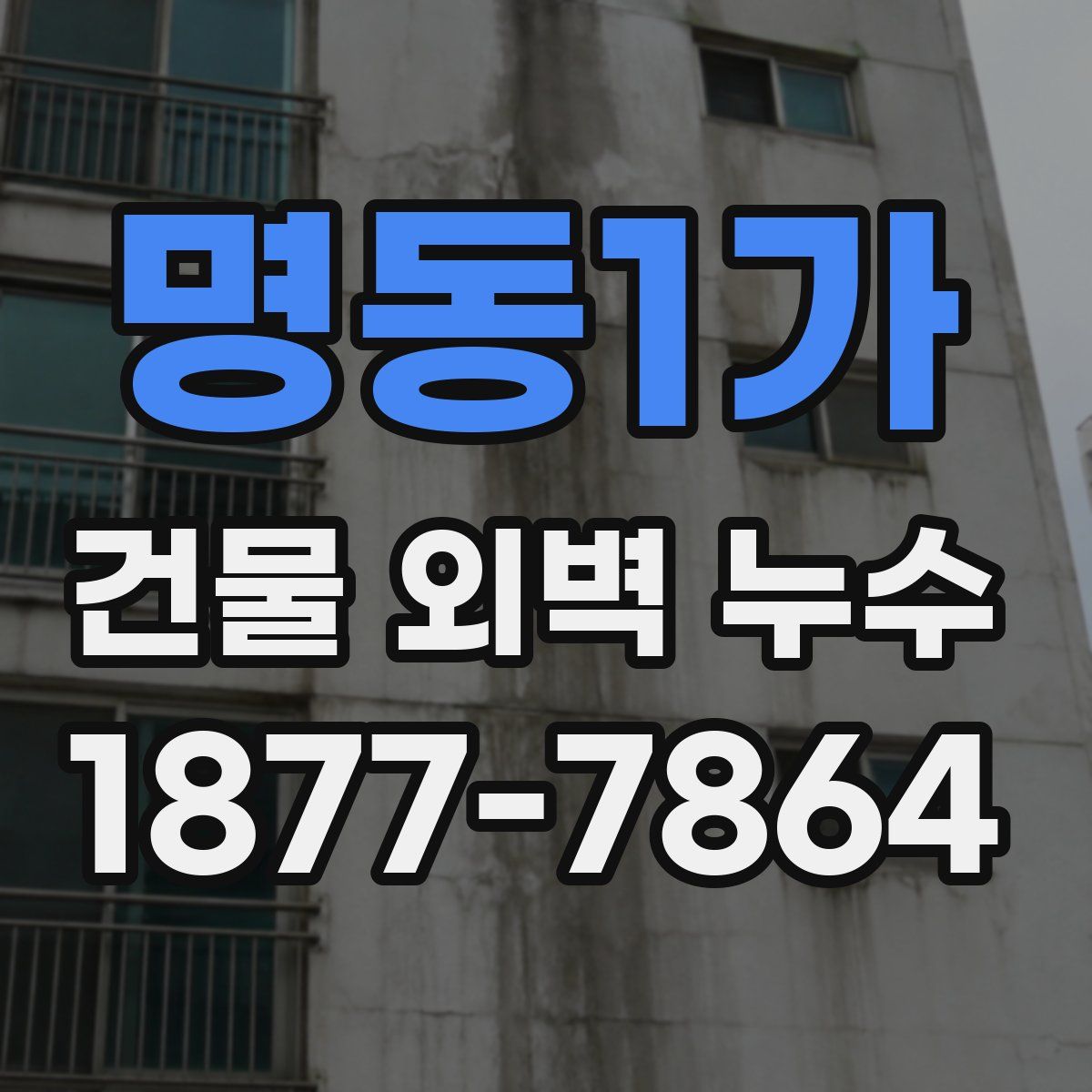 명동1가 건물 외벽 누수