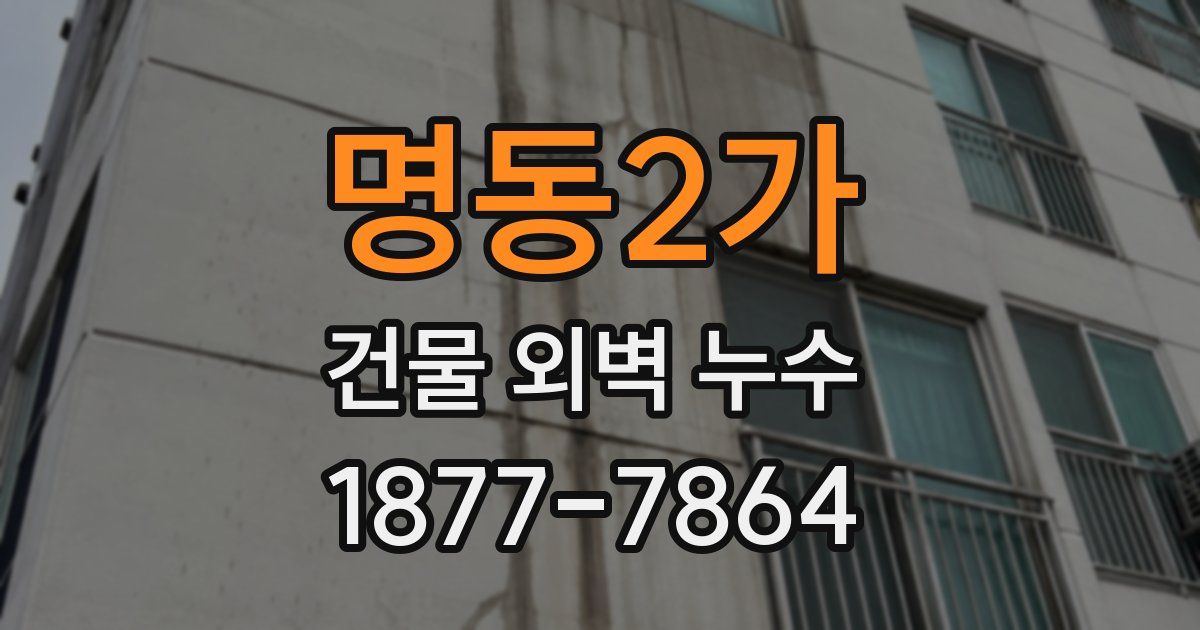 명동2가 건물 외벽 누수
