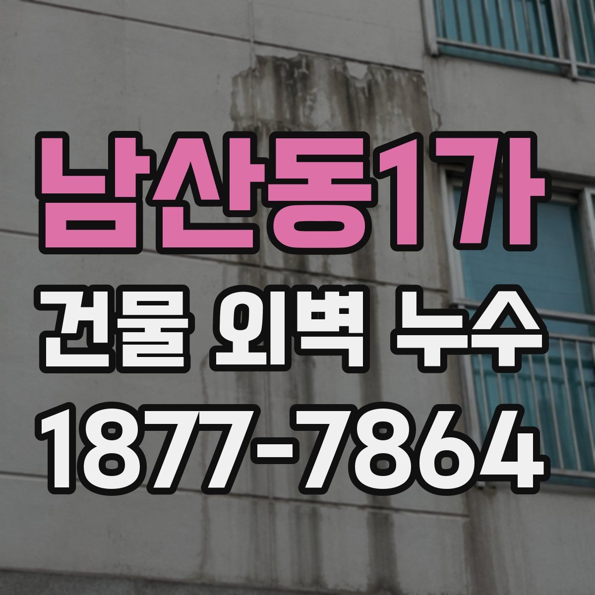 남산동1가 건물 외벽 누수