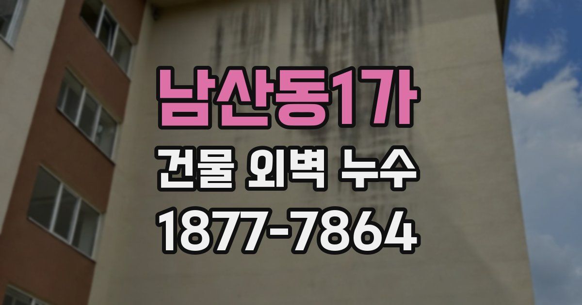 남산동1가 건물 외벽 누수