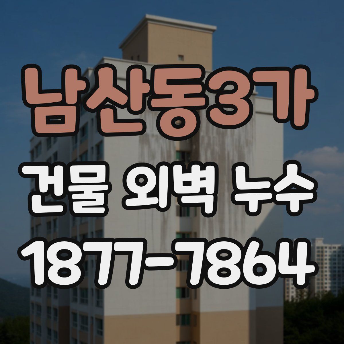남산동3가 건물 외벽 누수