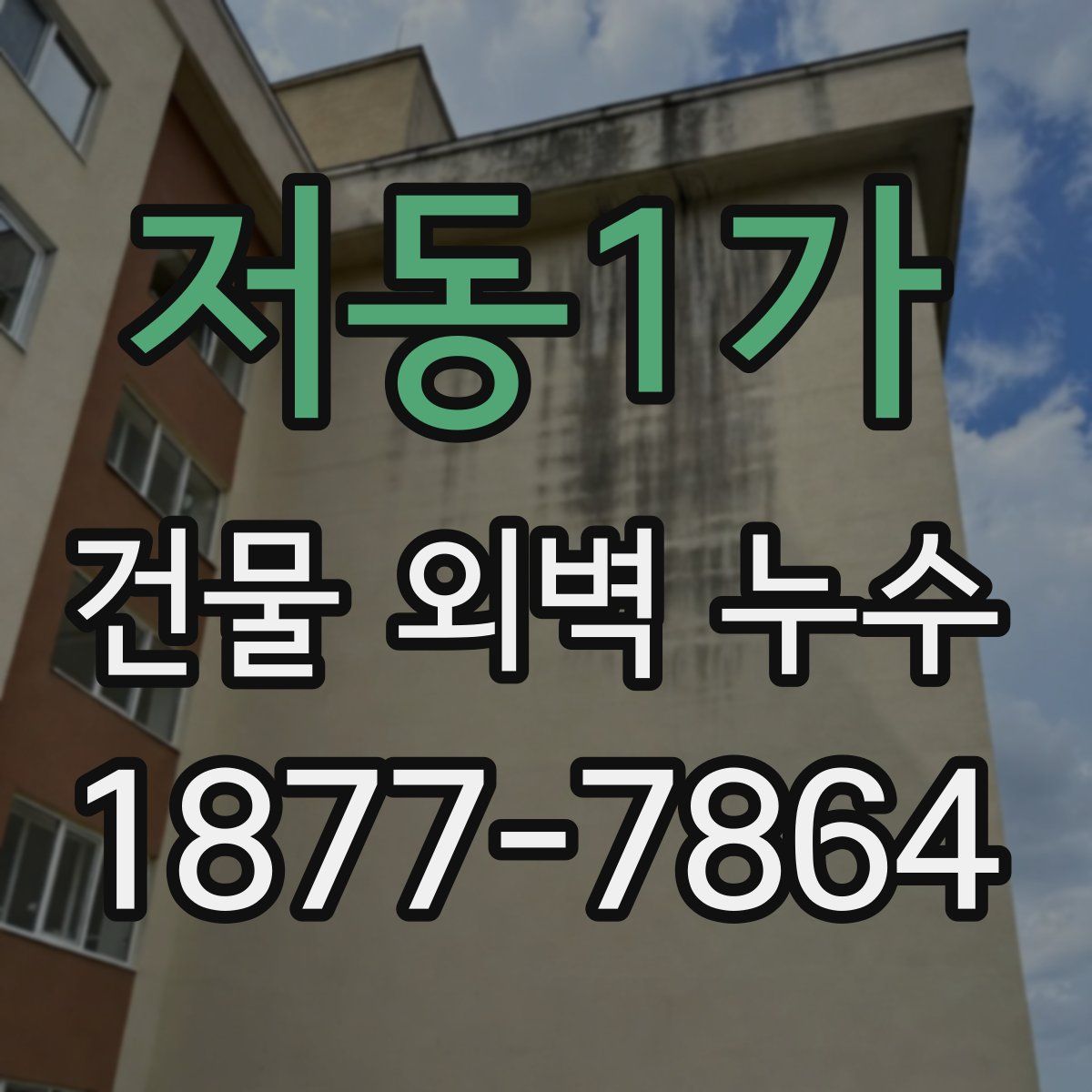 저동1가 건물 외벽 누수