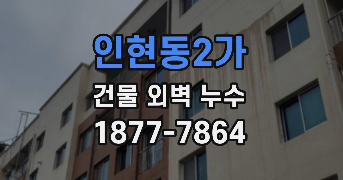 인현동2가 건물 외벽 누수