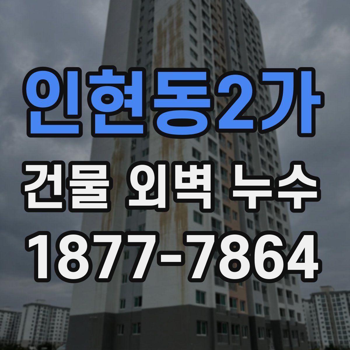 인현동2가 건물 외벽 누수