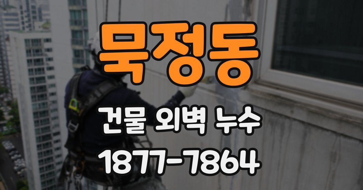 묵정동 건물 외벽 누수