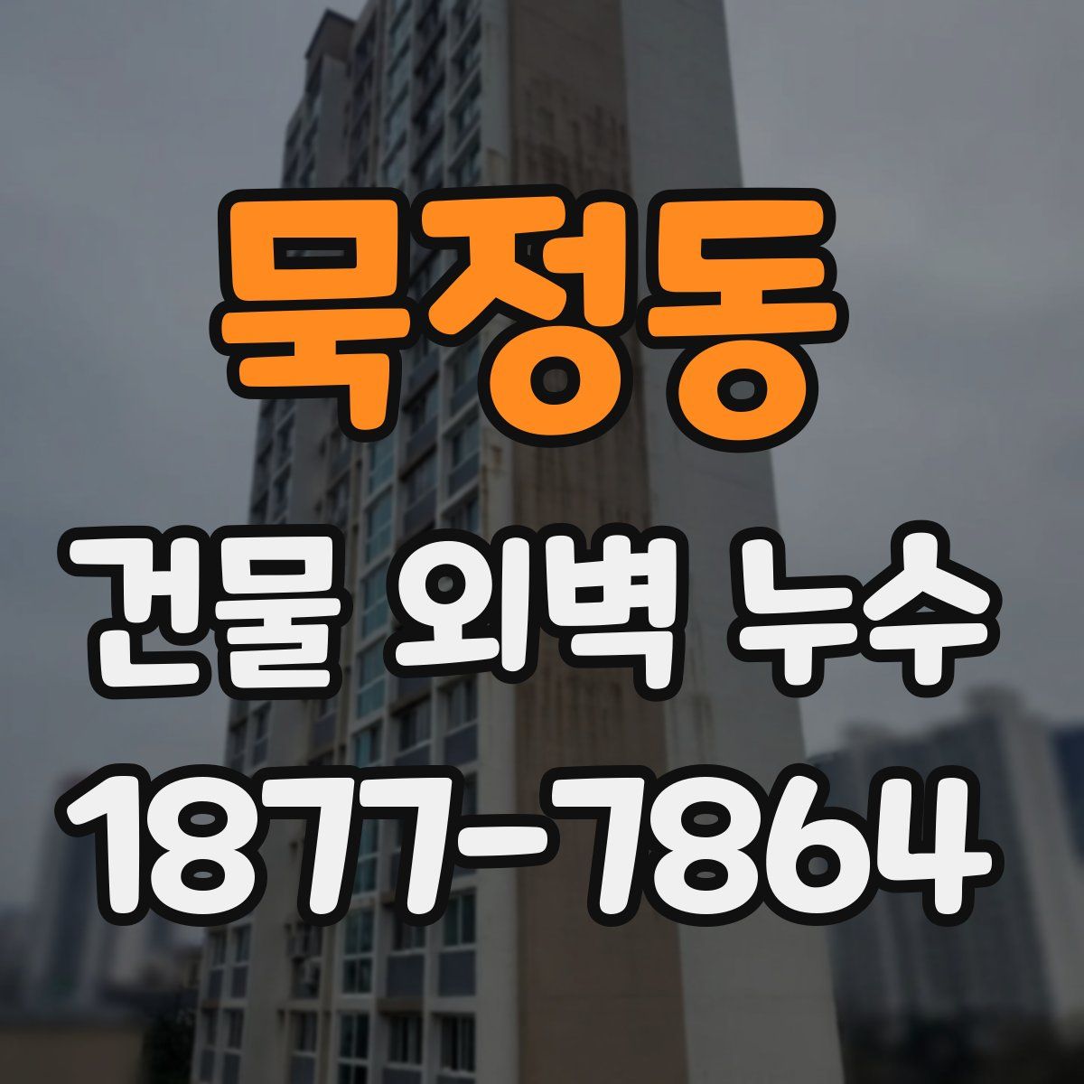 묵정동 건물 외벽 누수