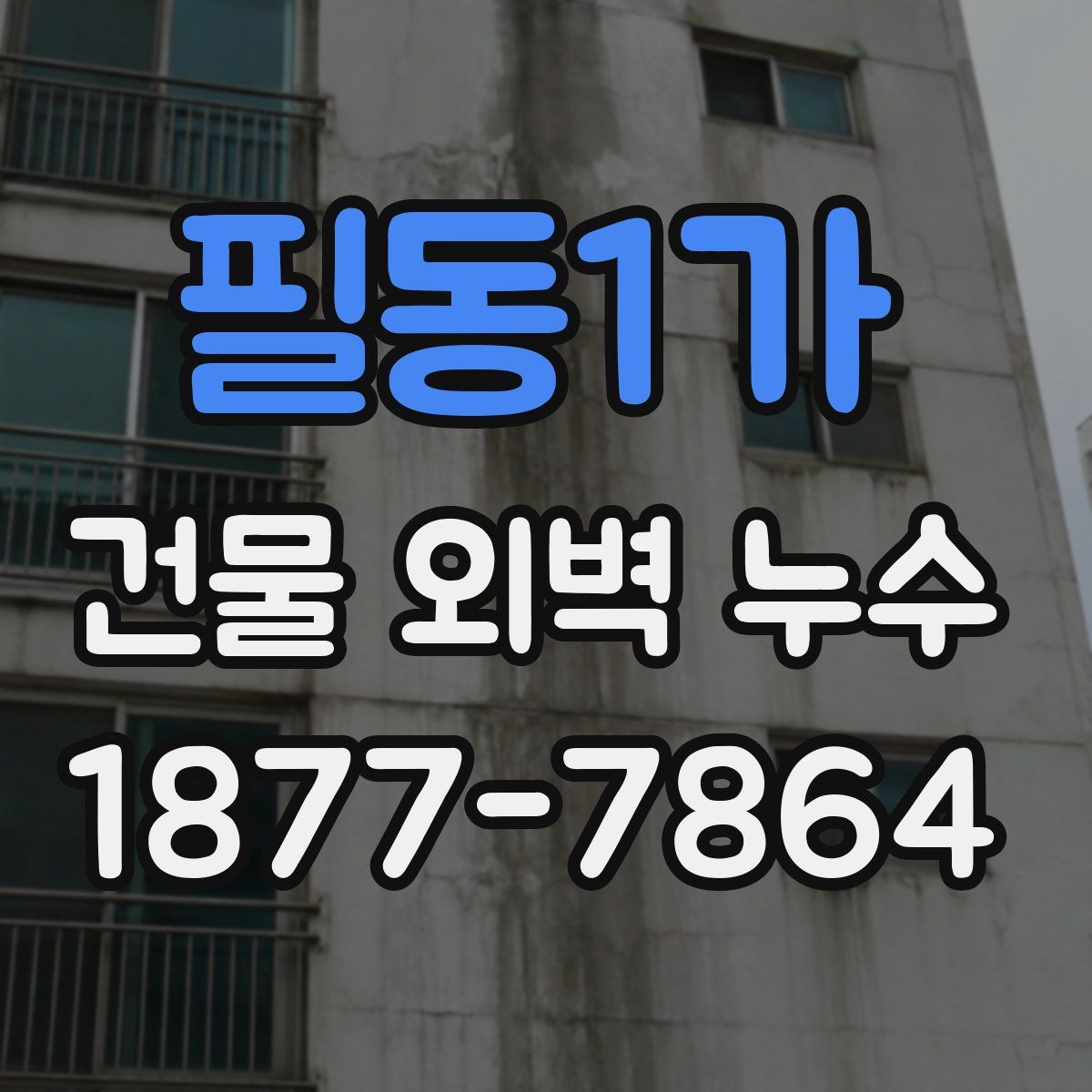 필동1가 건물 외벽 누수