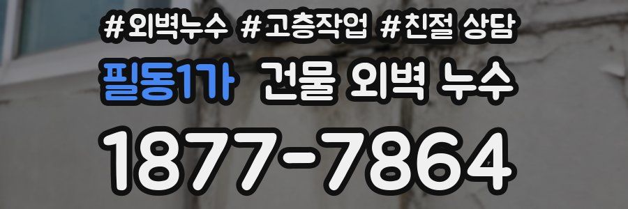 필동1가 건물 외벽 누수