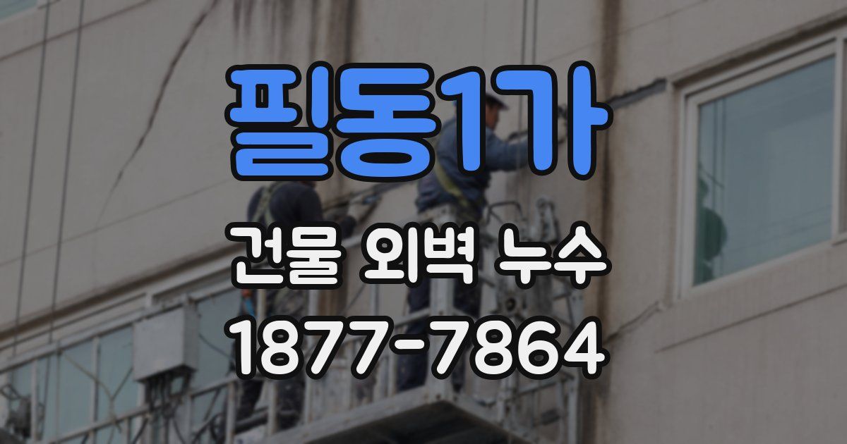 필동1가 건물 외벽 누수