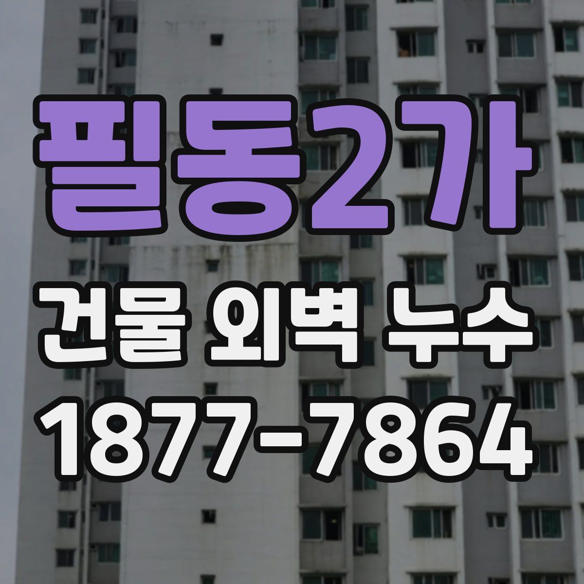 필동2가 건물 외벽 누수