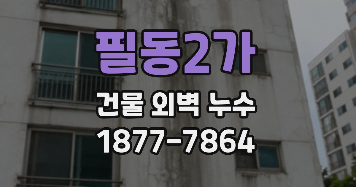 필동2가 건물 외벽 누수