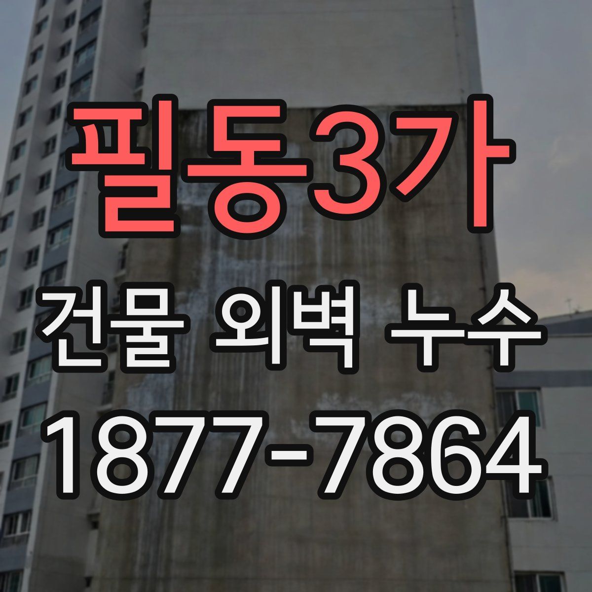 필동3가 건물 외벽 누수