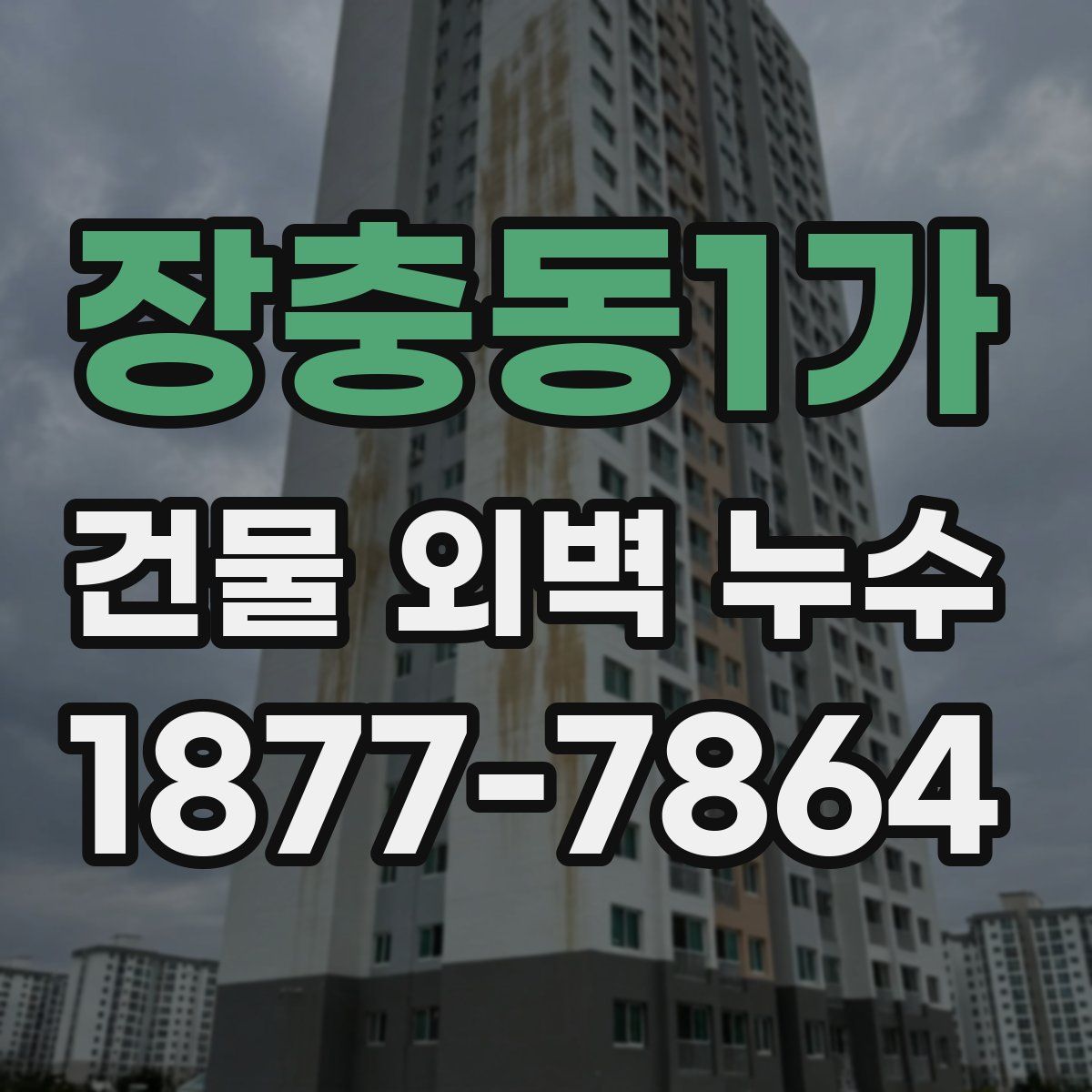 장충동1가 건물 외벽 누수