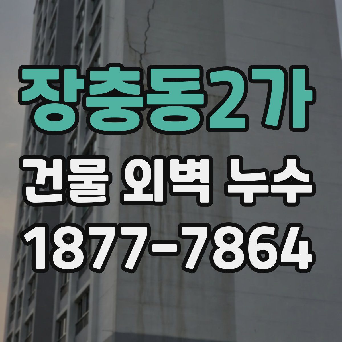 장충동2가 건물 외벽 누수