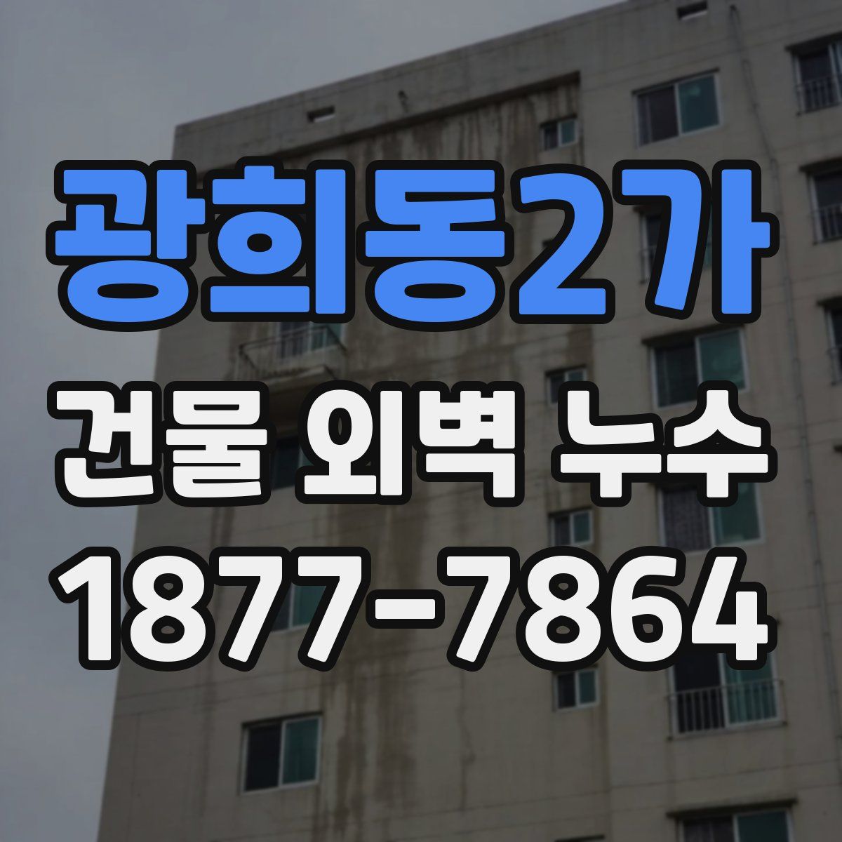 광희동2가 건물 외벽 누수