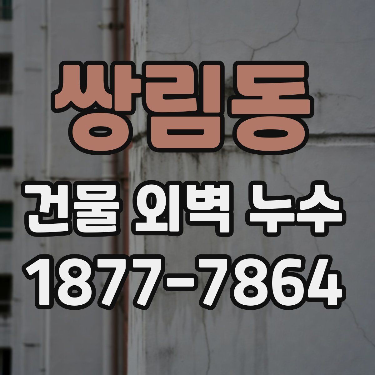 쌍림동 건물 외벽 누수 원인별 대응 방법