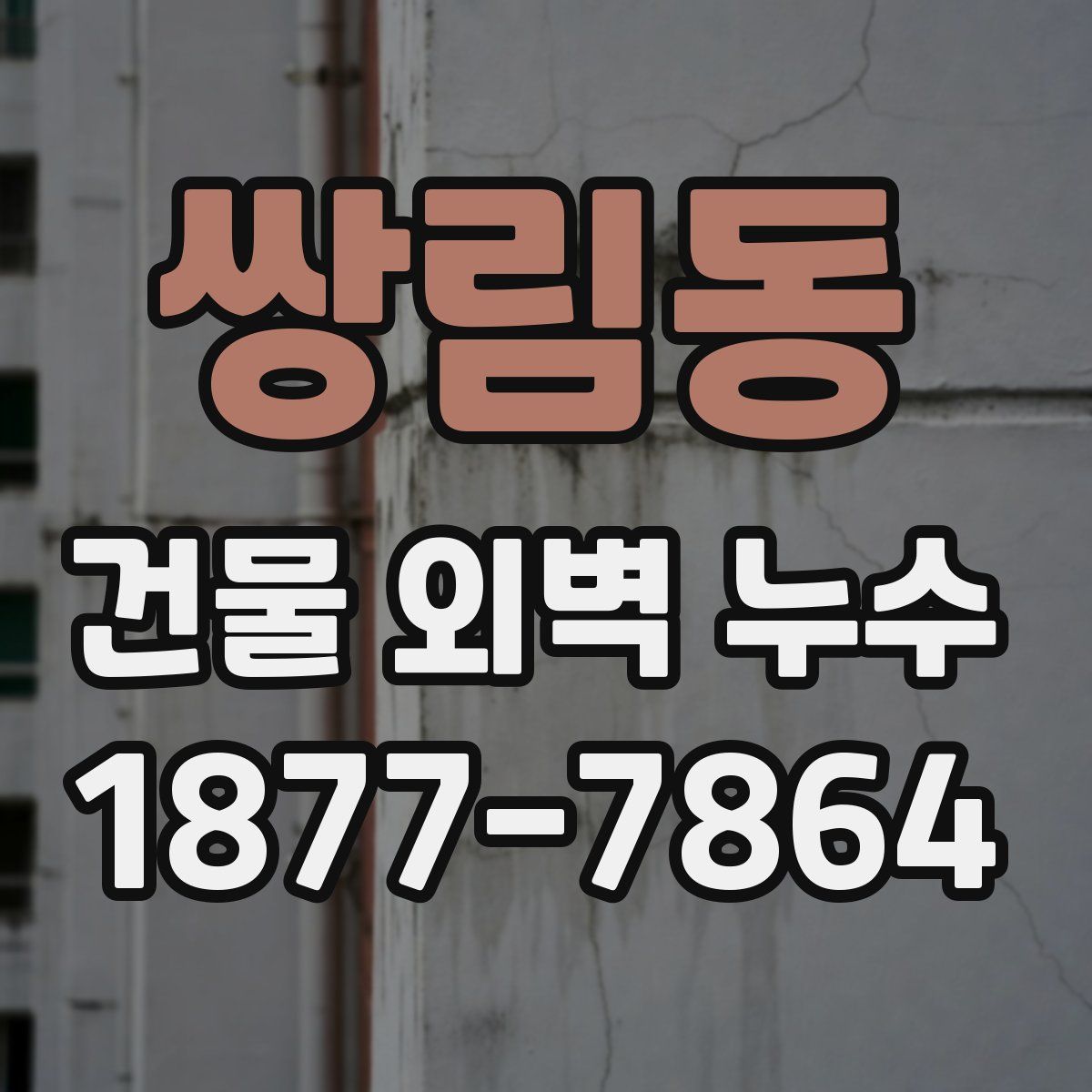 쌍림동 건물 외벽 누수