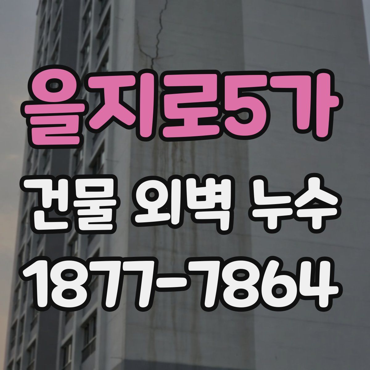 을지로5가 건물 외벽 누수