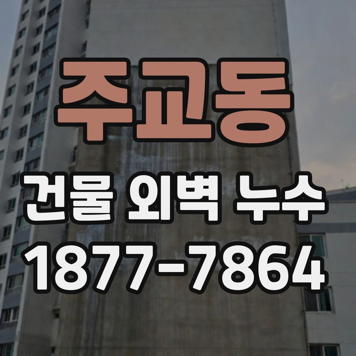 주교동 건물 외벽 누수