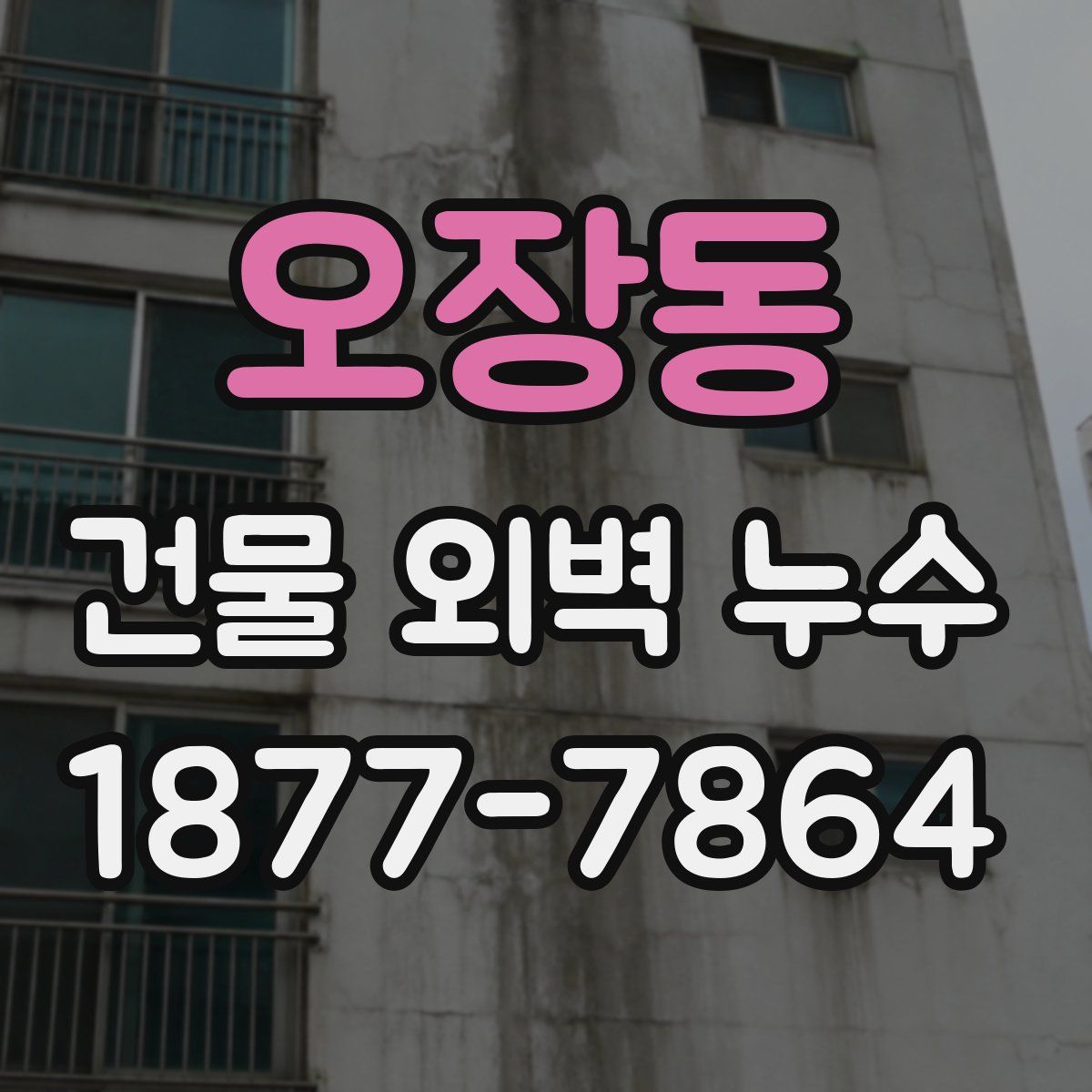 오장동 건물 외벽 누수