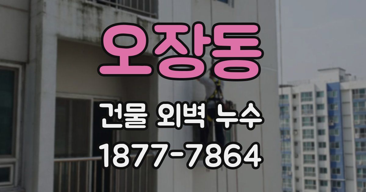 오장동 건물 외벽 누수