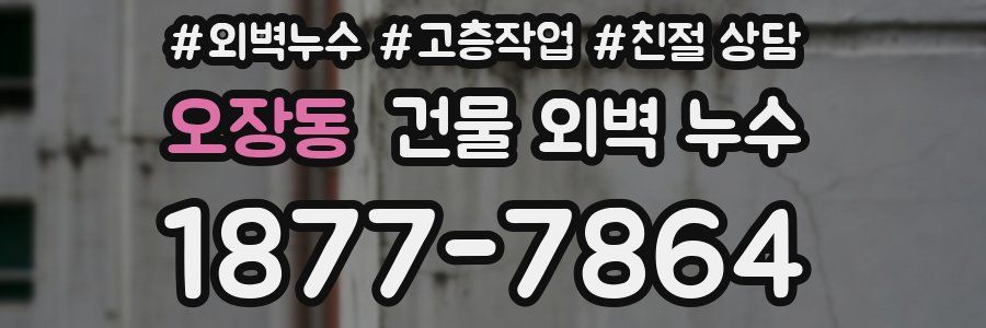 오장동 건물 외벽 누수