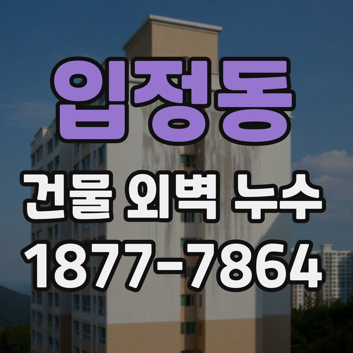 입정동 건물 외벽 누수