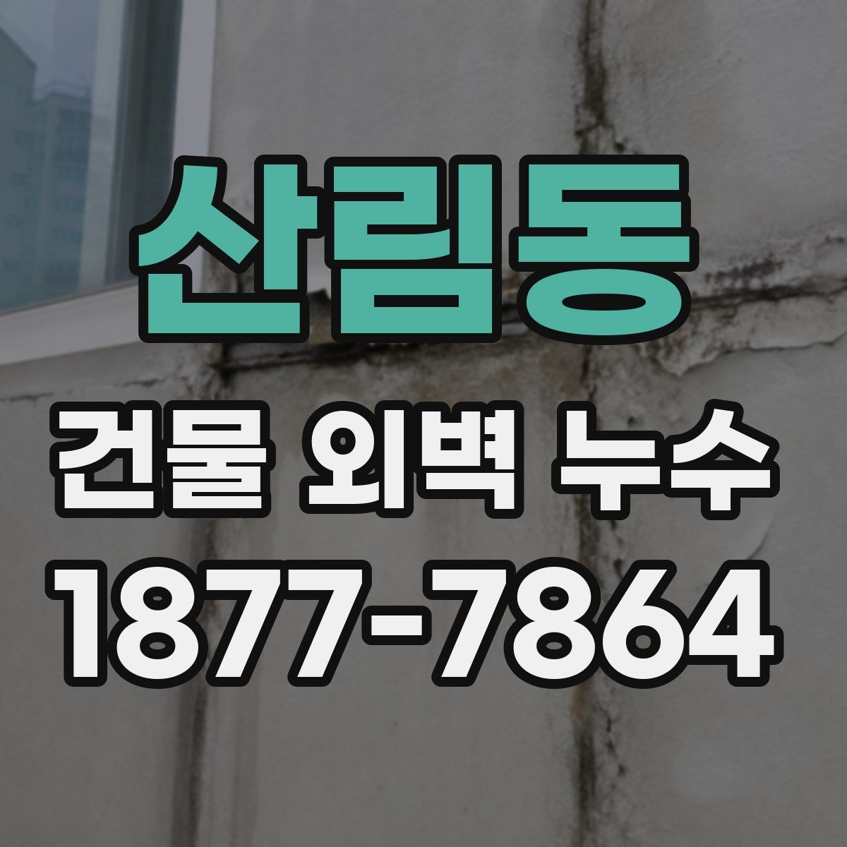 산림동 건물 외벽 누수