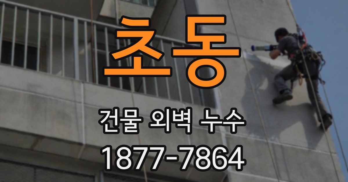 초동 건물 외벽 누수