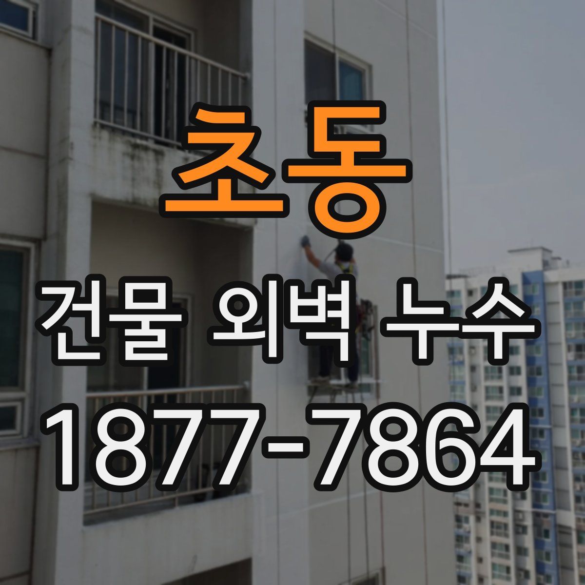 초동 건물 외벽 누수