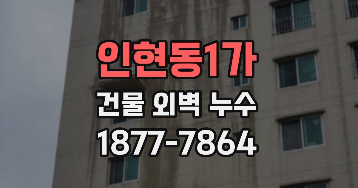 인현동1가 건물 외벽 누수