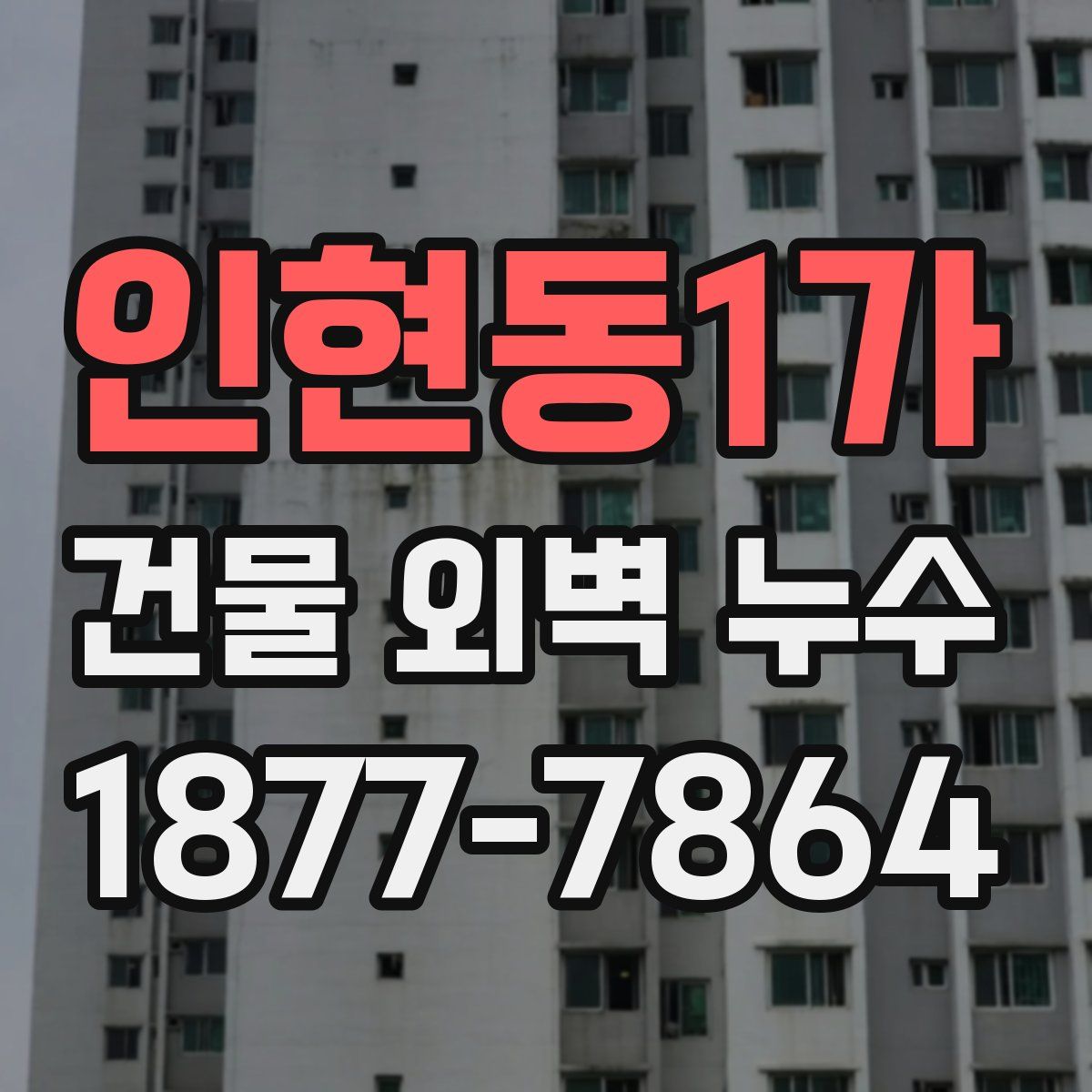 인현동1가 건물 외벽 누수