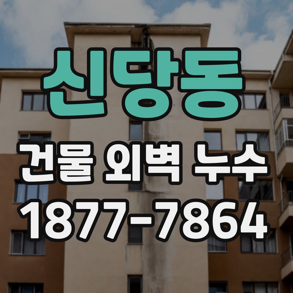 신당동 건물 외벽 누수