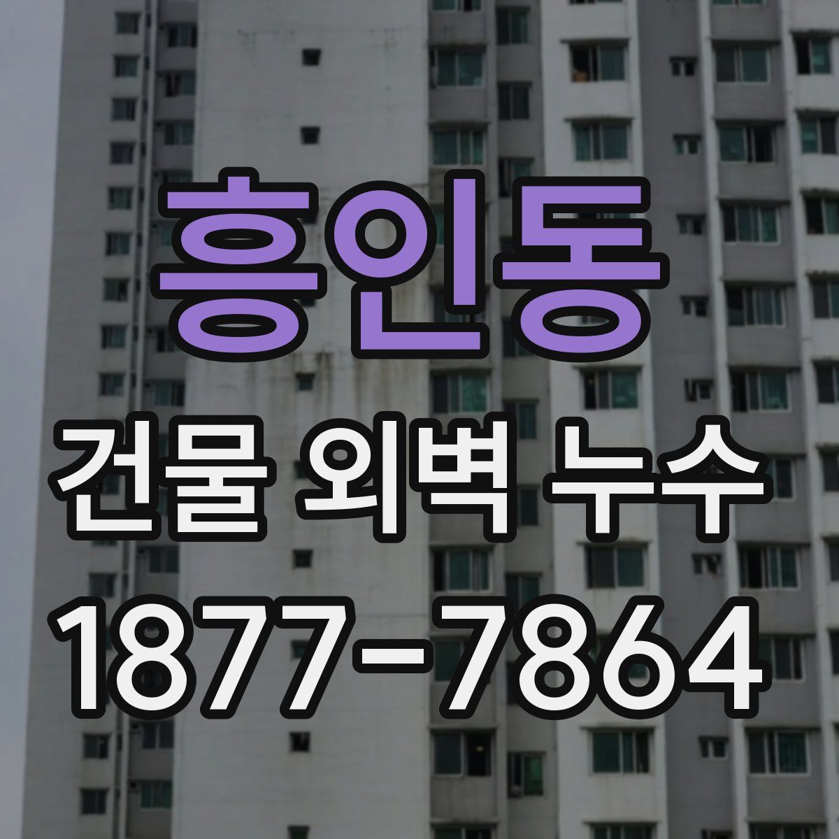 흥인동 건물 외벽 누수