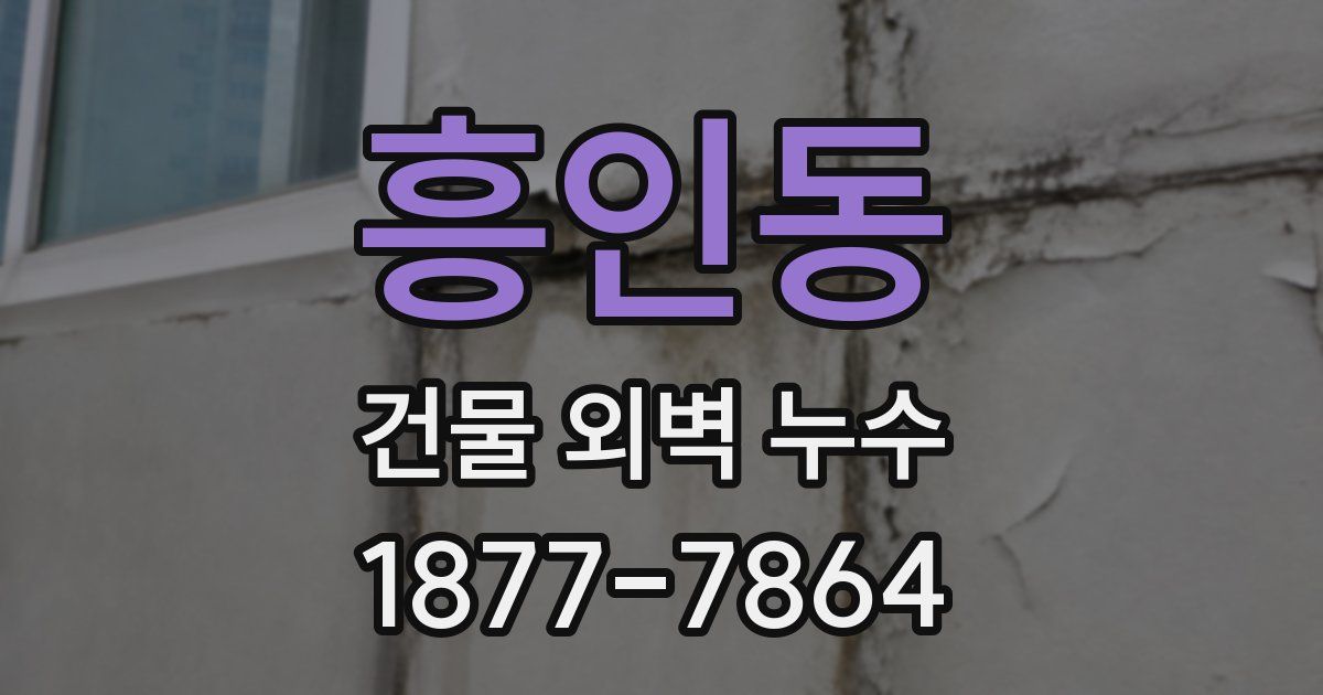 흥인동 건물 외벽 누수