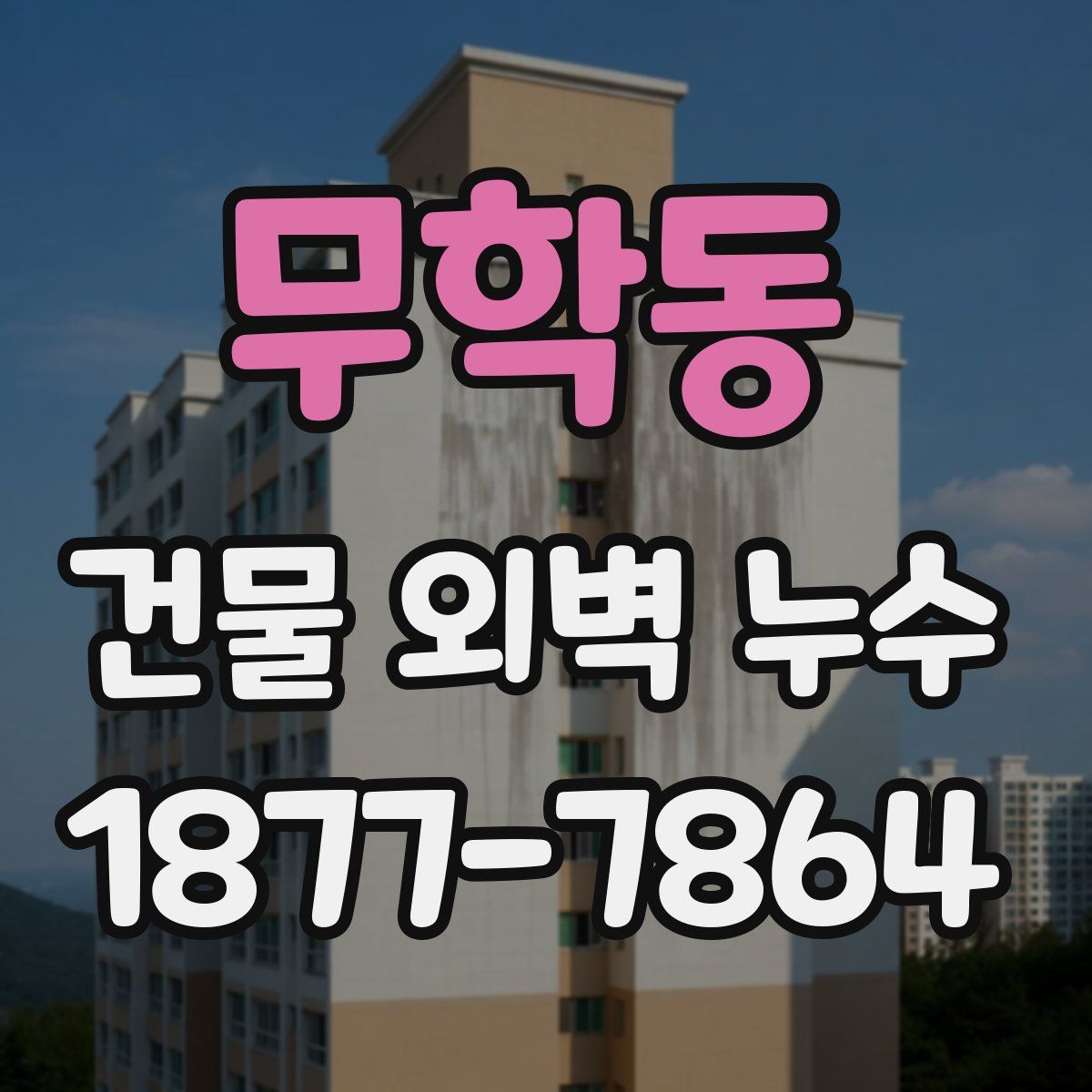 무학동 건물 외벽 누수