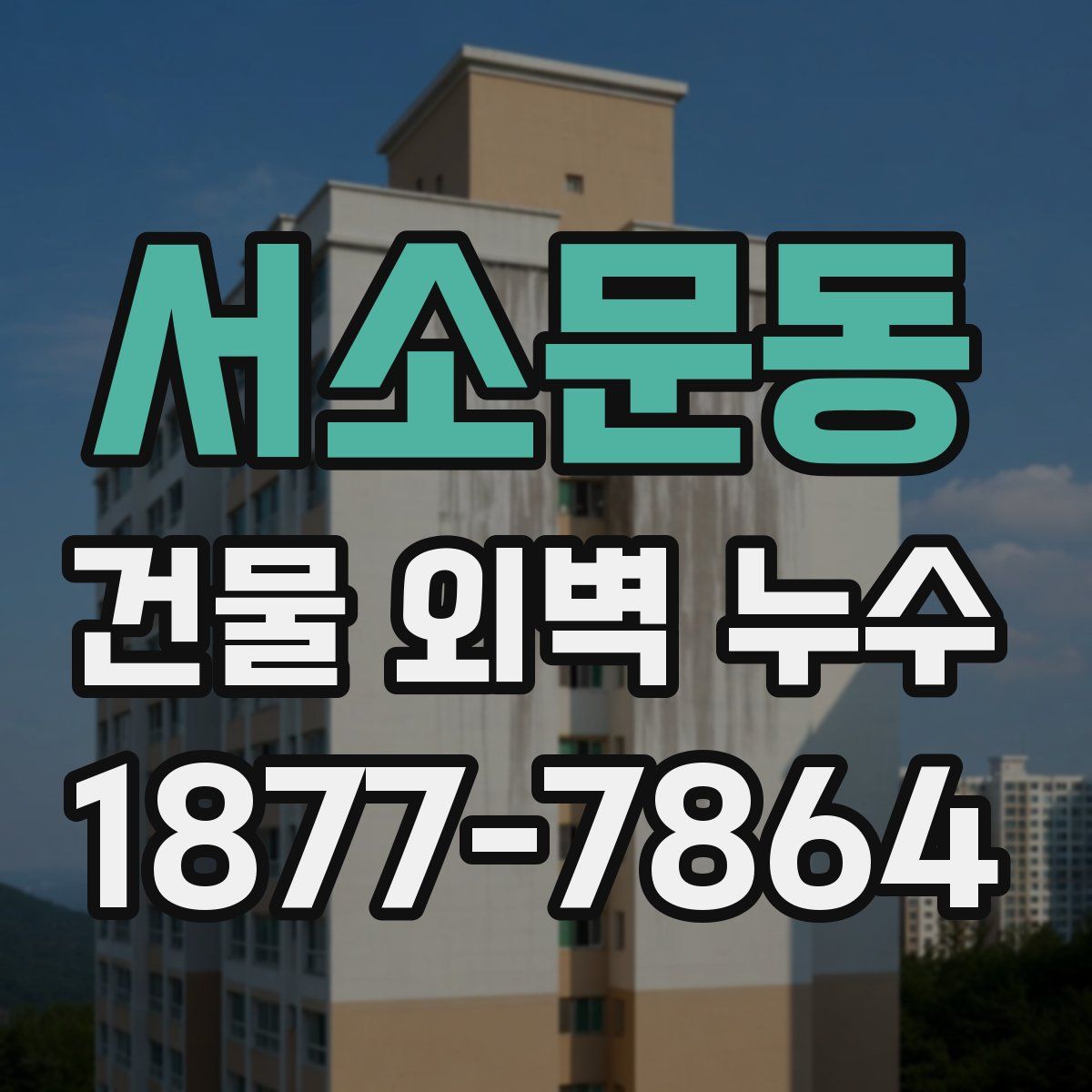 서소문동 건물 외벽 누수