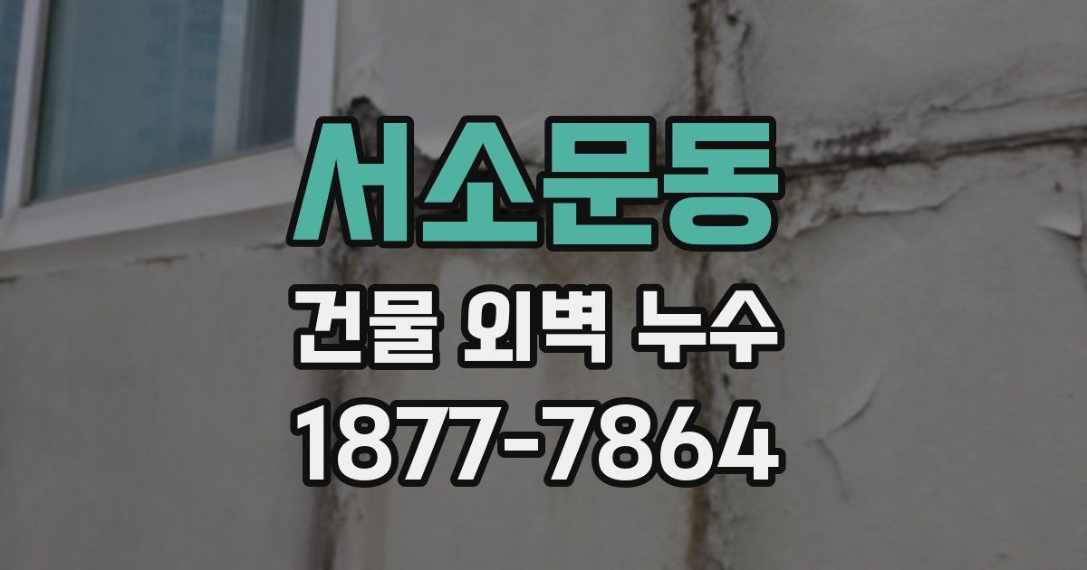 서소문동 건물 외벽 누수